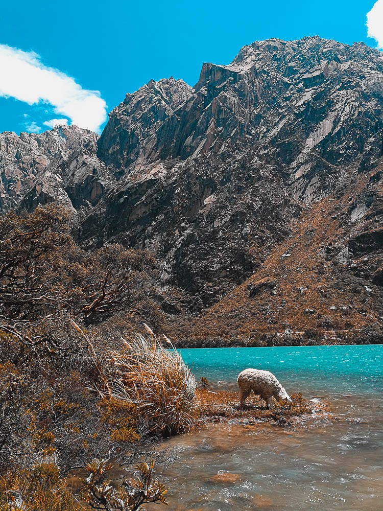 laguna-llanganuco-peru