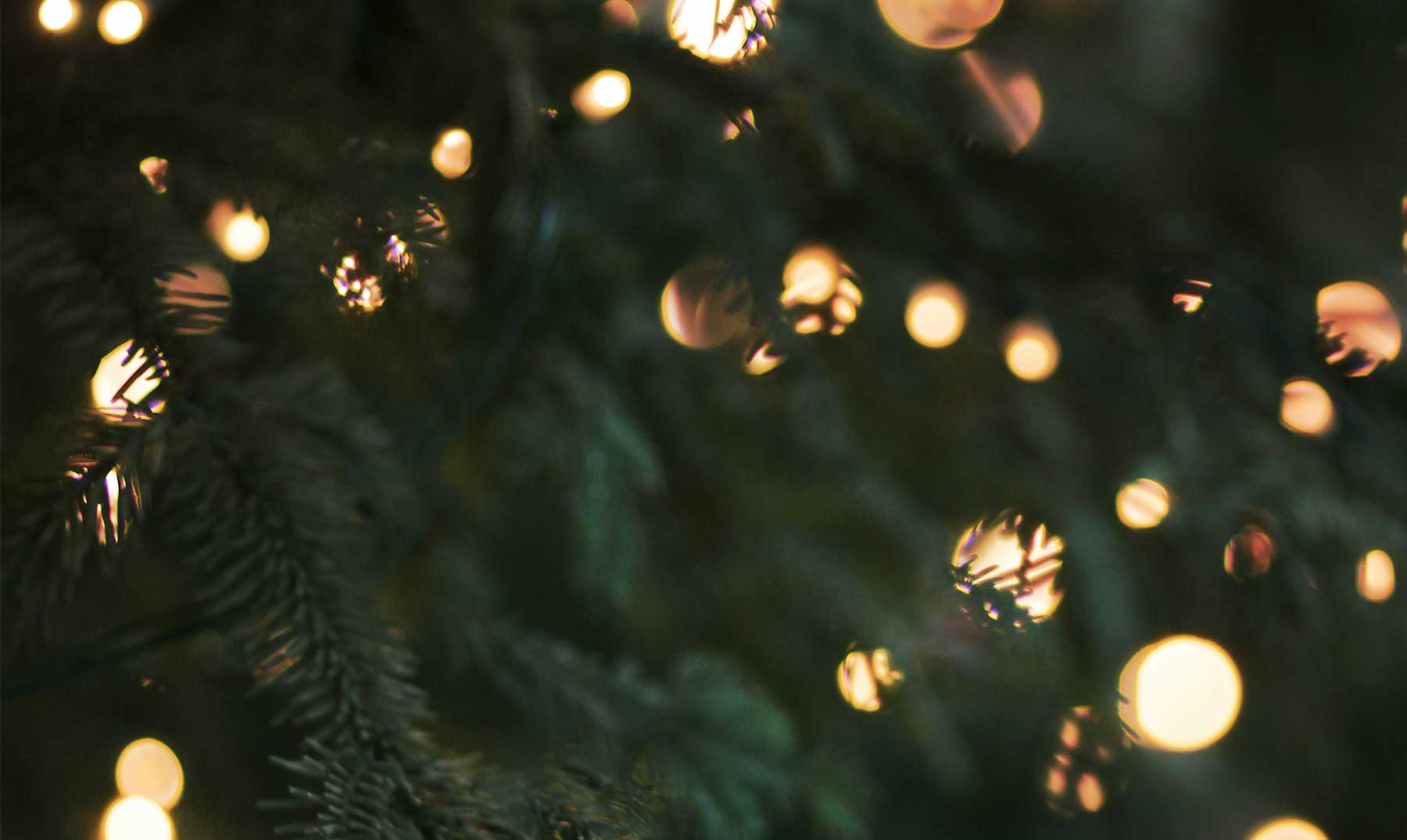 Navidad